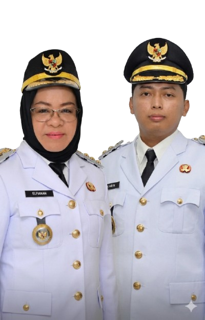 Kepala Daerah Kabupaten Mesuji